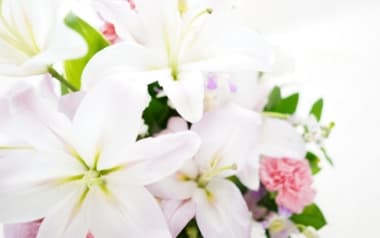 お別れプランの祭壇